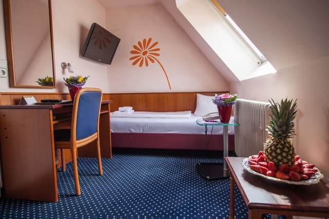 Single Room, 1 Twin Bed