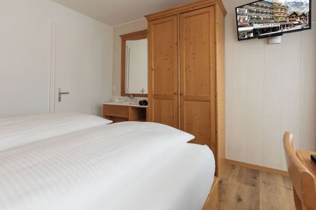Small Double Room, Balcony, Mountain View