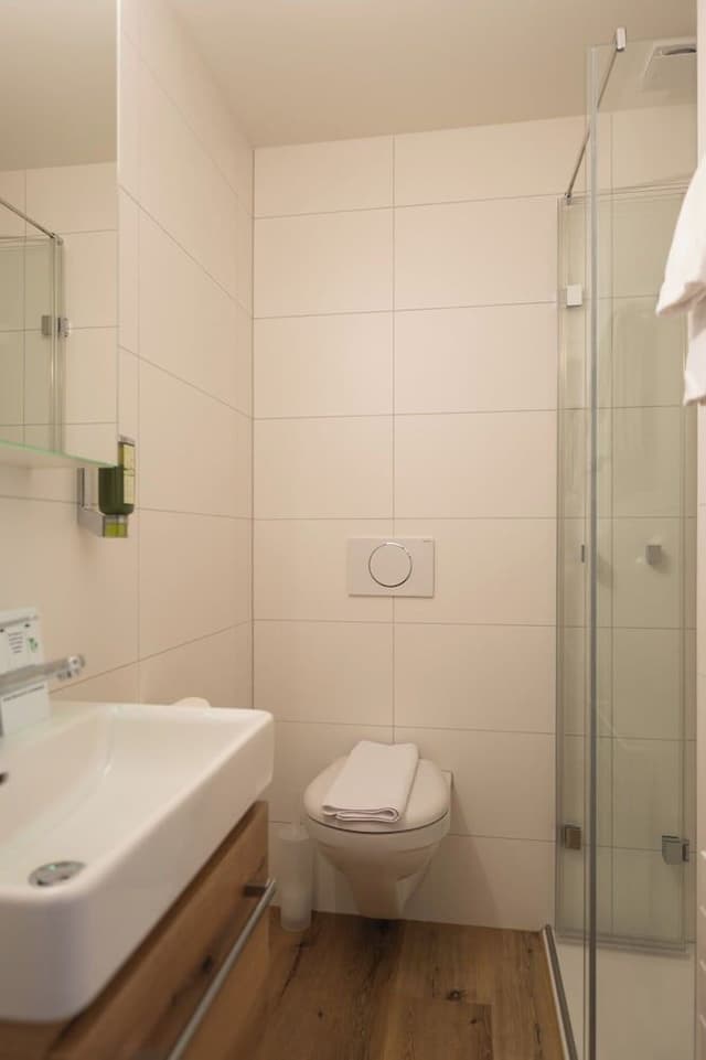 Small Double Room, Balcony, Mountain View