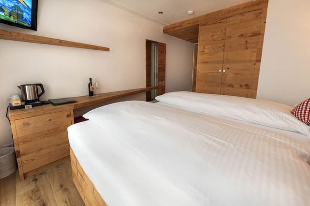 Small Double Room, Balcony, Mountain View