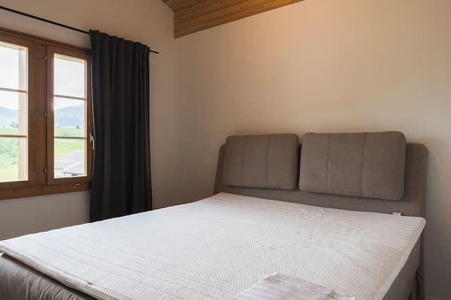 Deluxe Studio Suite
