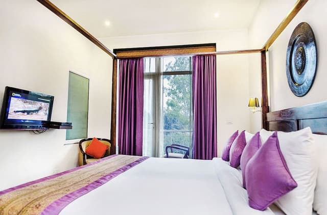 Suite (Free Airport Pick-Up)