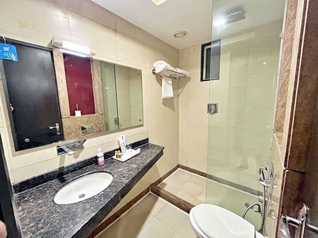 Deluxe Double or Twin Room, City View