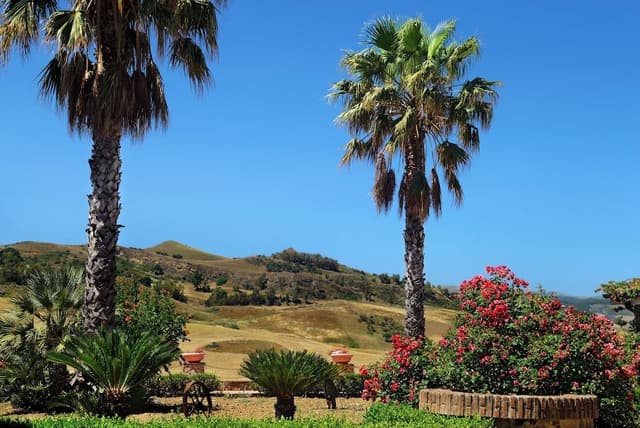 Family Room, 1 Bedroom, Hill View, Mountainside