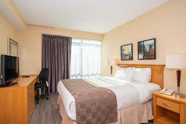 SUITE EXECUTIVE