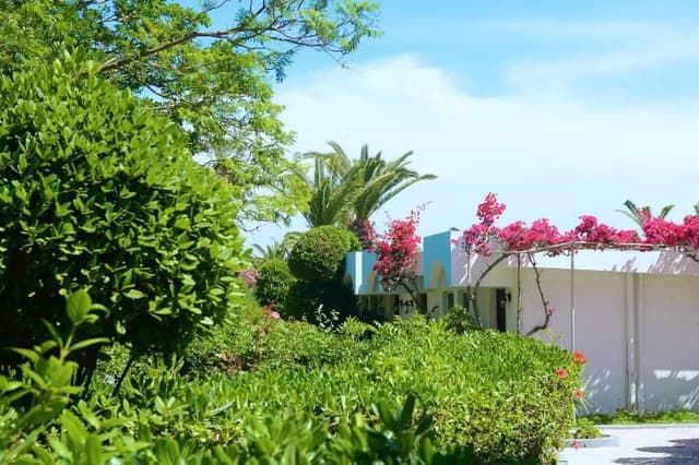 BUNGALOW SUPERIOR GARDEN VIEW