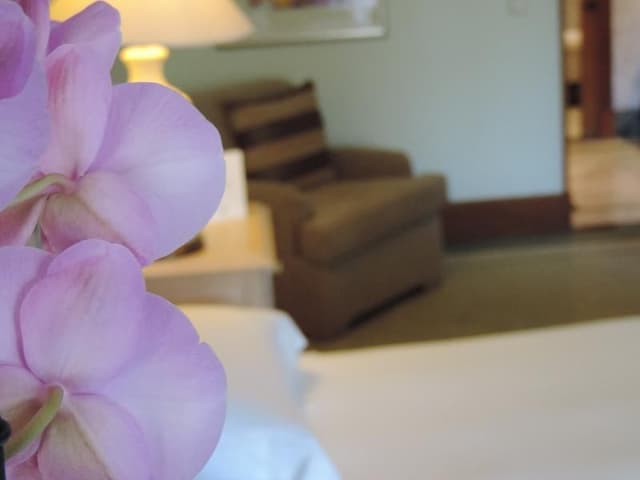SUITE EXECUTIVE
