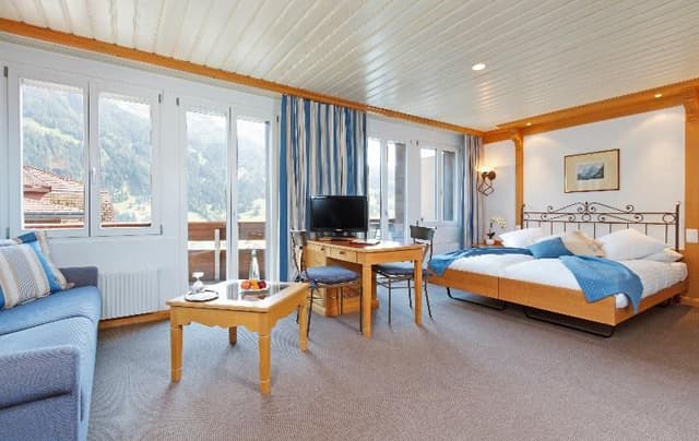 JUNIOR SUITE MOUNTAIN VIEW