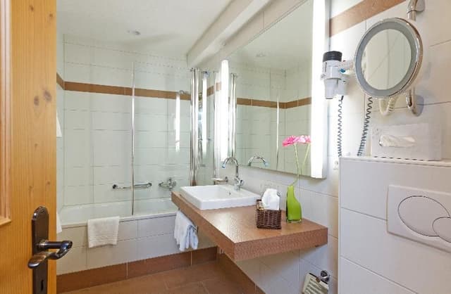 JUNIOR SUITE MOUNTAIN VIEW