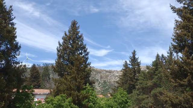 Double or Twin MOUNTAIN VIEW