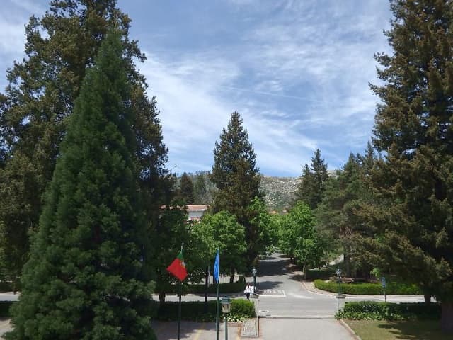 Double or Twin MOUNTAIN VIEW