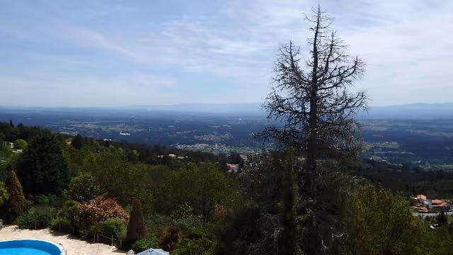 Double or Twin WITH VIEWS