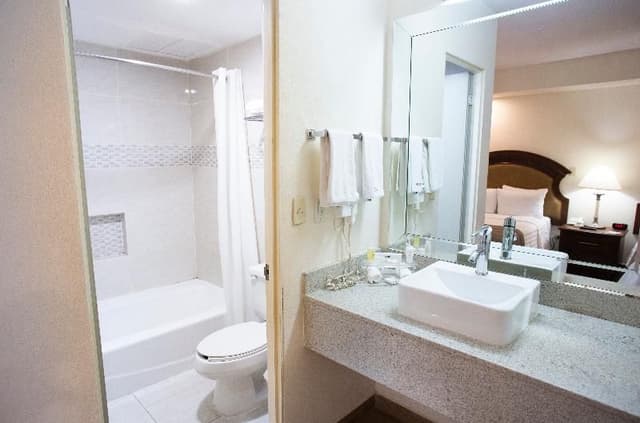 JUNIOR SUITE WITH KITCHENETTE