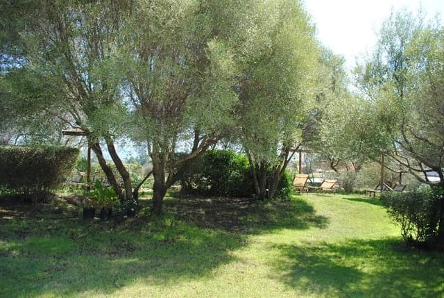 FAMILY ROOM SUPERIOR GARDEN VIEW