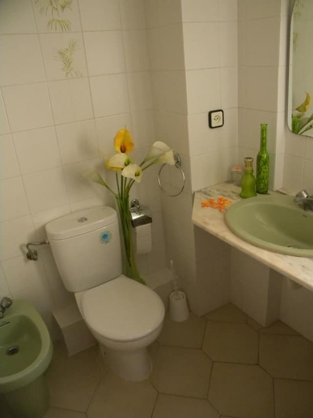 APARTMENT CAPACITY 4