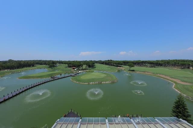 DOUBLE SINGLE USE GOLF VIEW