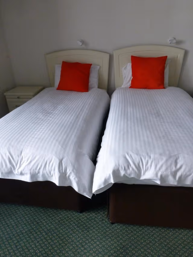 TWIN STANDARD