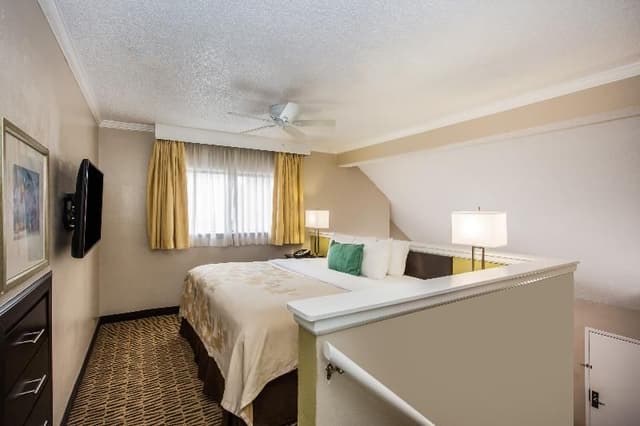 SUITE STANDARD