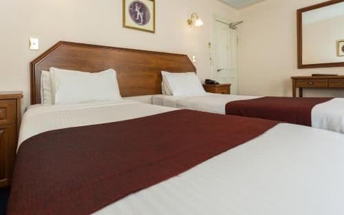 Special Offer - Deluxe King or Twin Room - Elvis Festival