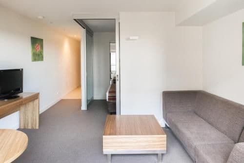 Deluxe One-Bedroom Apartment