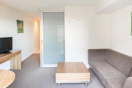 Deluxe One-Bedroom Apartment