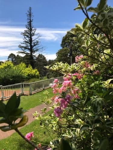 Cottage with Garden View