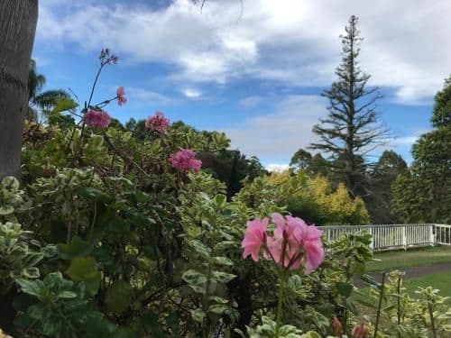 Cottage with Garden View