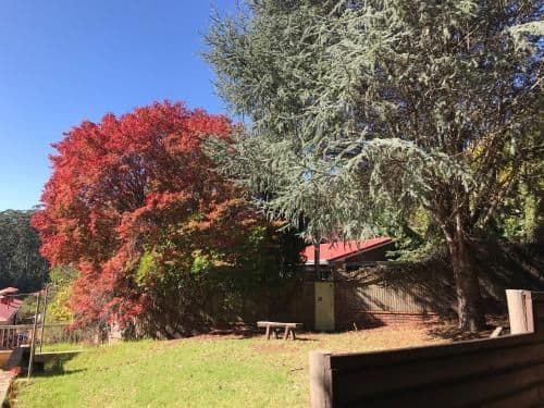Cottage with Garden View