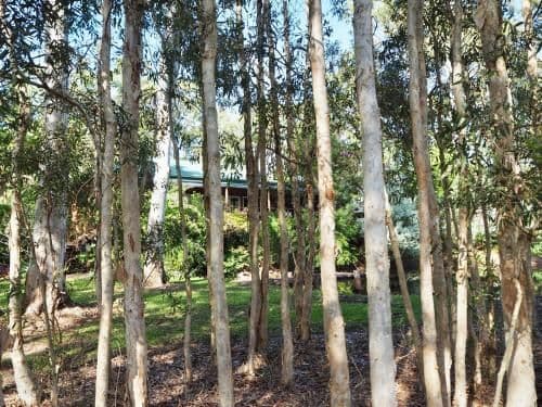 Luxury Two-Bedroom Cottage with Patio (4 guests) 