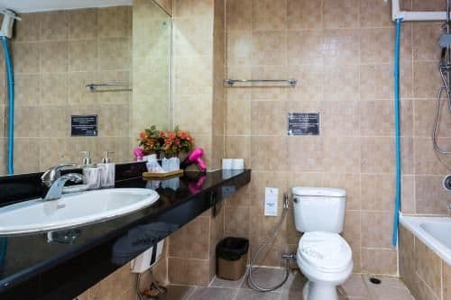 Superior Double or Twin Room with Pool View