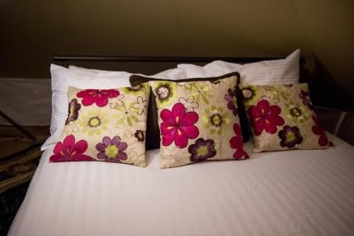 Economy Double or Twin Room
