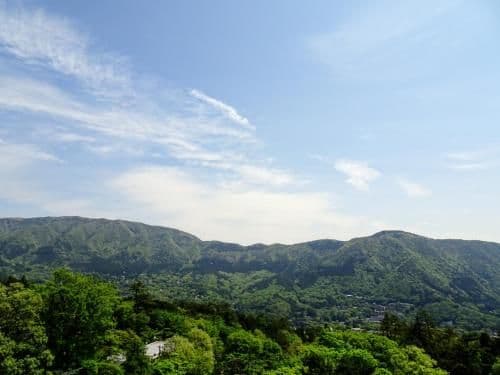 Japanese-Style Deluxe Room with Mountain View