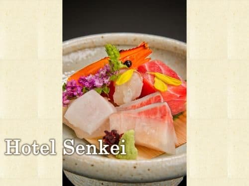 Japanese-Style Room with In-room Breakfast + In-Room Dinner - Hotel Senkei 