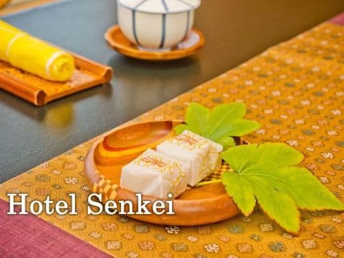 Japanese-Style Room - Room Only - Hotel Senkei