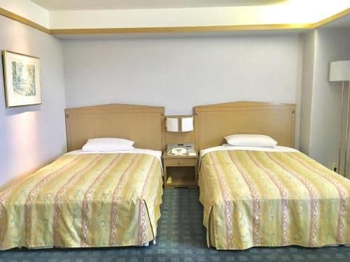 Standard Twin Room - Non-Smoking