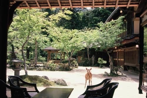 Japanese-Style Room - New Building