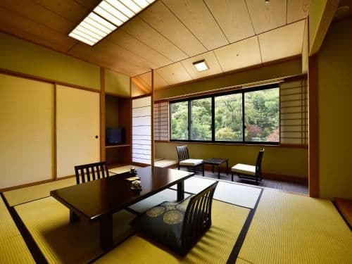 Japanese-Style Room with Mountain View - Non-Smoking