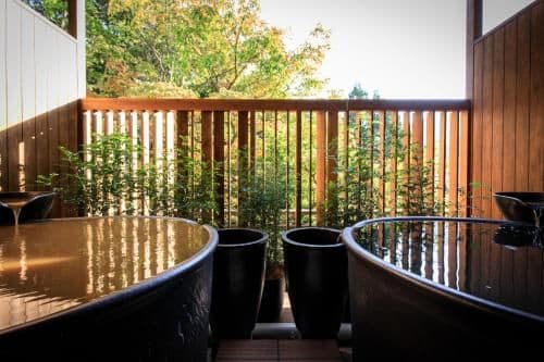 Suite with Tatami Area and Open-Air Bath - Non-Smoking (Kinsen and Ginsen)