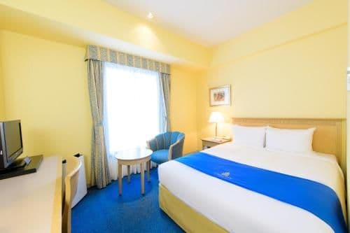 Double Room with Small Double Bed - Single Use -Non-Smoking