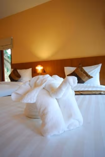 Pool Side Double or Twin Room