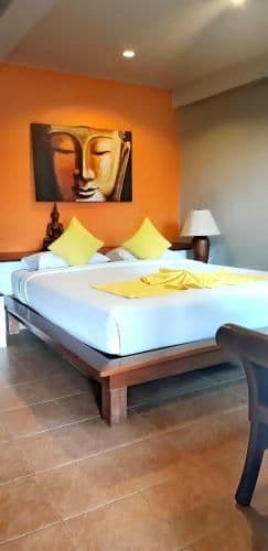 Superior Double or Twin Room
