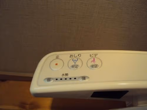 Deluxe Japanese-Style House - Annex with Open-Air Bath