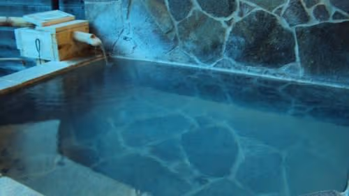 Superior Japanese-Style House - Annex with Open-Air Bath