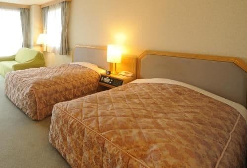 Standard  Room with Mountain View