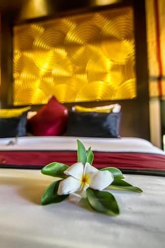 Premier Double Room with Pool Access