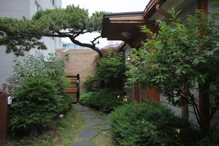 Pinetree Guesthouse