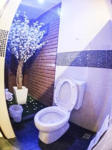 Superior Double or Twin Room with Terrace