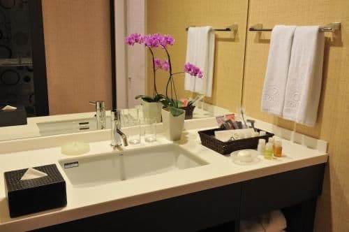 Deluxe Room with View Bath - Non-Smoking