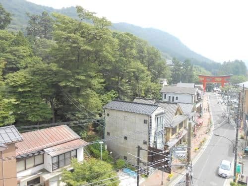 Japanese-Style Room with Mountain View