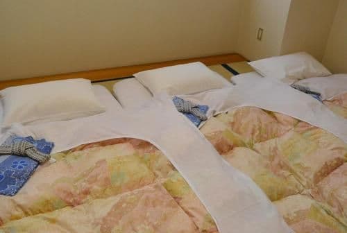 Japanese-Style Twin Room - Non-Smoking